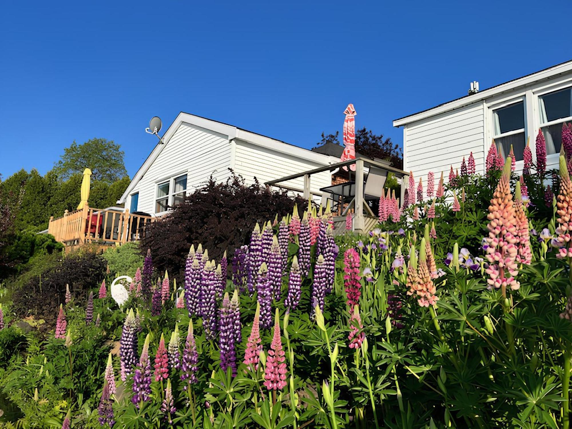 Dewar's Inn&Cottages Prescott Exterior foto